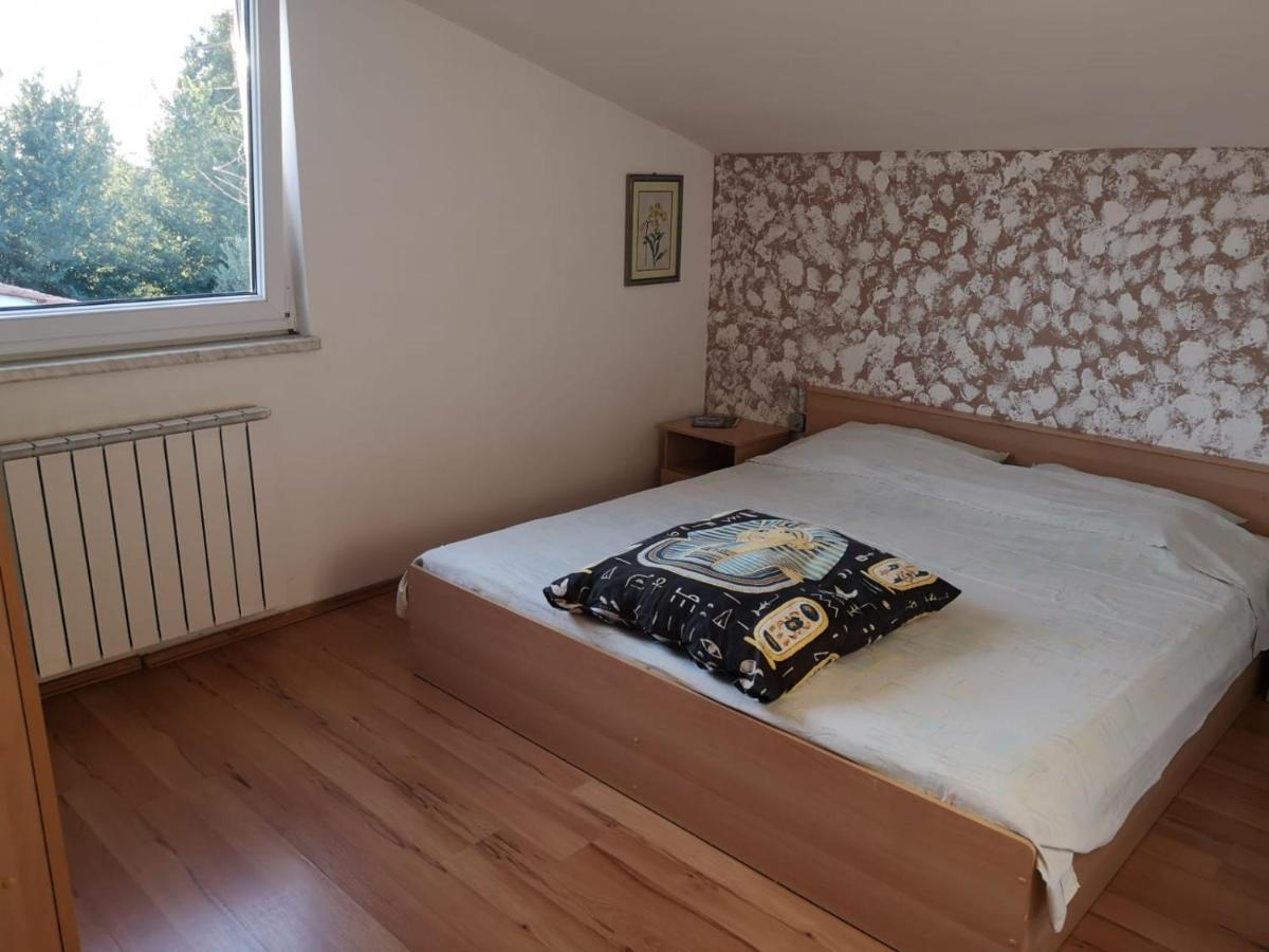 Apartment Samanta Šišan Εξωτερικό φωτογραφία