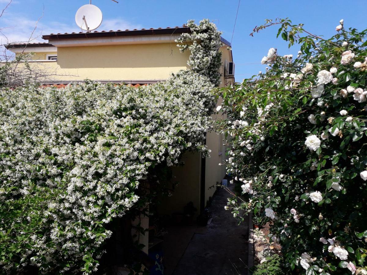 Apartment Samanta Šišan Εξωτερικό φωτογραφία