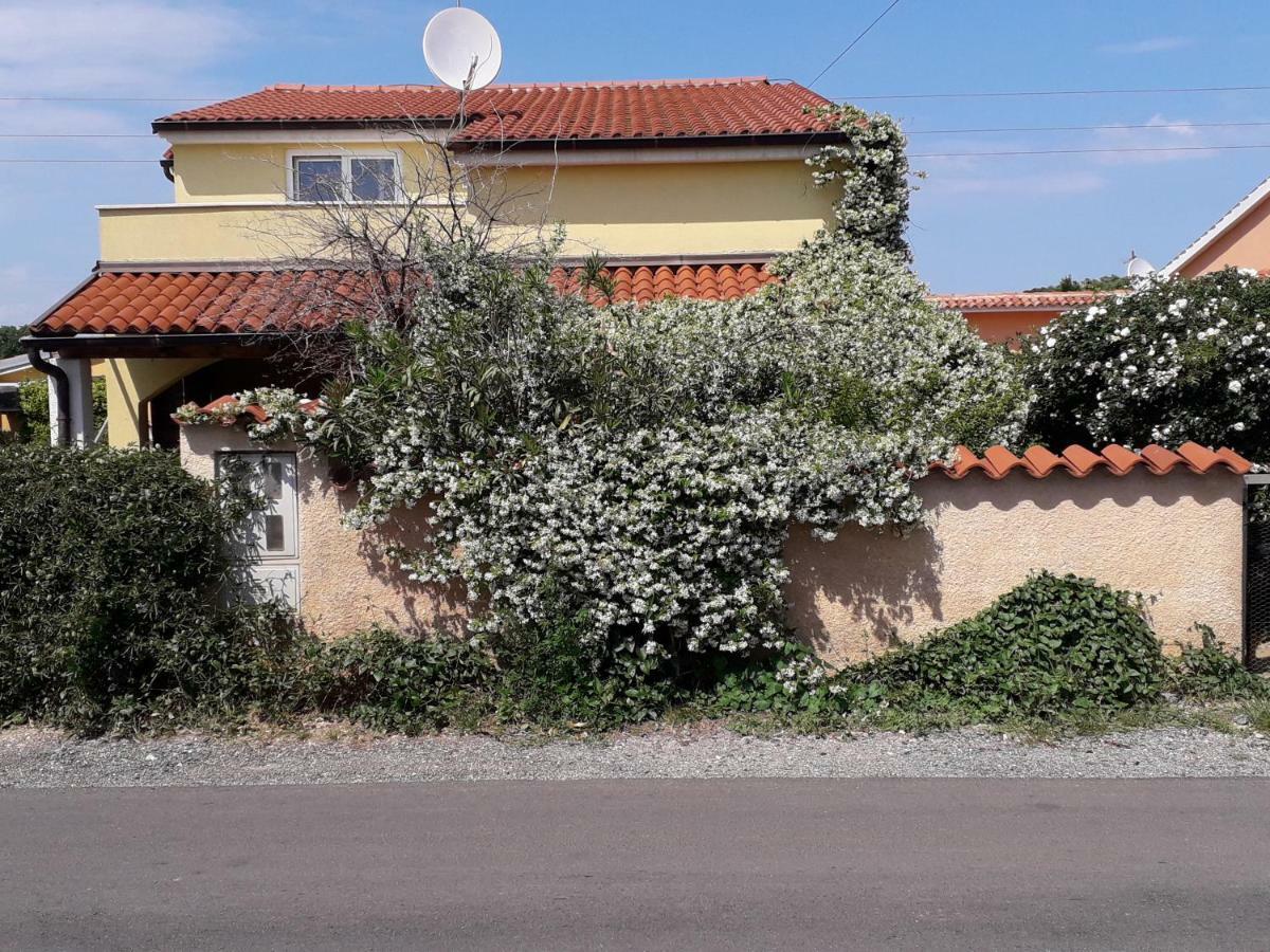 Apartment Samanta Šišan Εξωτερικό φωτογραφία